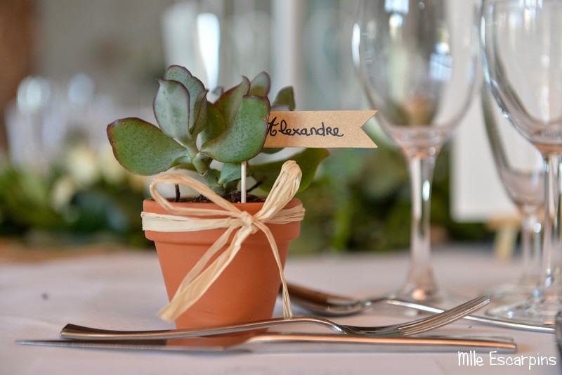 Une succulente en cadeau pour chaque invité, avec des petits drapeaux pour le placement.